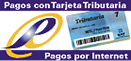 Pagos Electrnicos